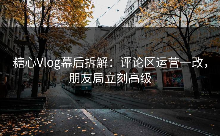 糖心Vlog幕后拆解:评论区运营一改,朋友局立刻高级 第1张 糖心Vlog幕后拆解:评论区运营一改,朋友局立刻高级 第1张