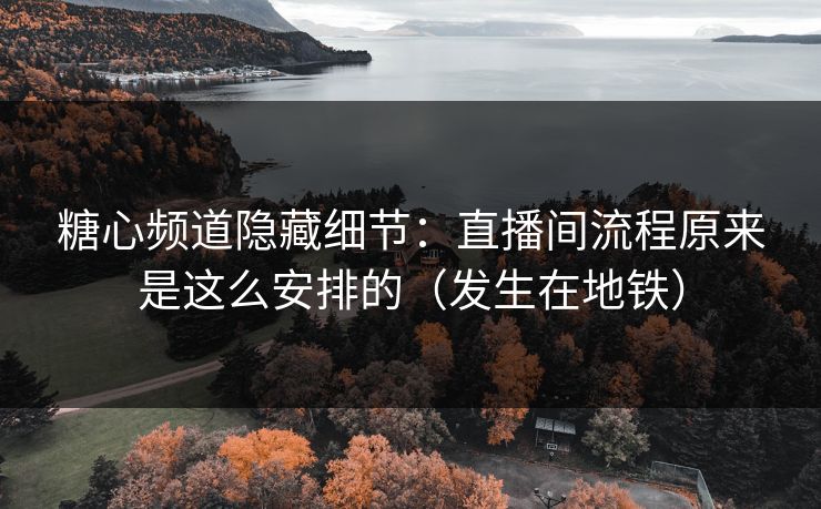 糖心频道隐藏细节：直播间流程原来是这么安排的（发生在地铁）  第1张