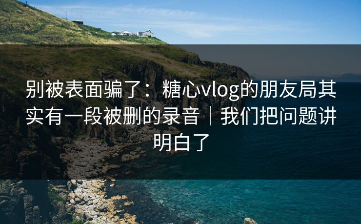 别被表面骗了：糖心vlog的朋友局其实有一段被删的录音｜我们把问题讲明白了  第1张