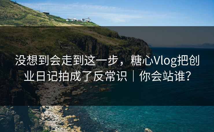 没想到会走到这一步,糖心Vlog把创业日记拍成了反常识|你会站谁? 第1张 没想到会走到这一步,糖心Vlog把创业日记拍成了反常识|你会站谁? 第1张