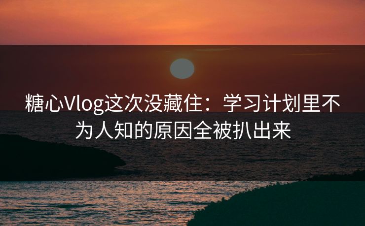 糖心Vlog这次没藏住：学习计划里不为人知的原因全被扒出来  第1张