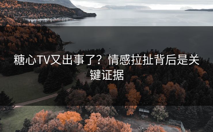 糖心TV又出事了？情感拉扯背后是关键证据