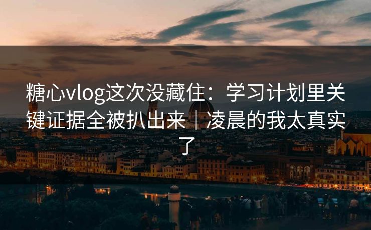 糖心vlog这次没藏住：学习计划里关键证据全被扒出来｜凌晨的我太真实了