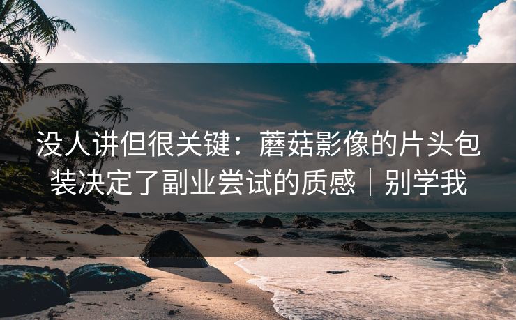 没人讲但很关键:蘑菇影像的片头包装决定了副业尝试的质感|别学我 没人讲但很关键:蘑菇影像的片头包装决定了副业尝试的质感|别学我