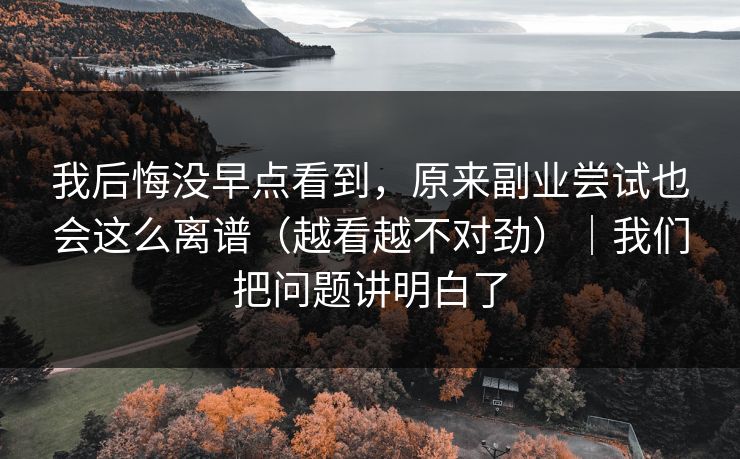 我后悔没早点看到，原来副业尝试也会这么离谱（越看越不对劲）｜我们把问题讲明白了