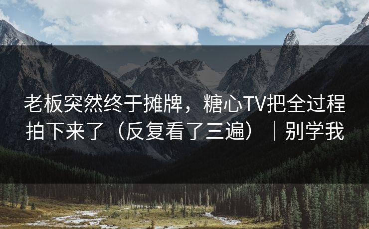 老板突然终于摊牌，糖心TV把全过程拍下来了（反复看了三遍）｜别学我