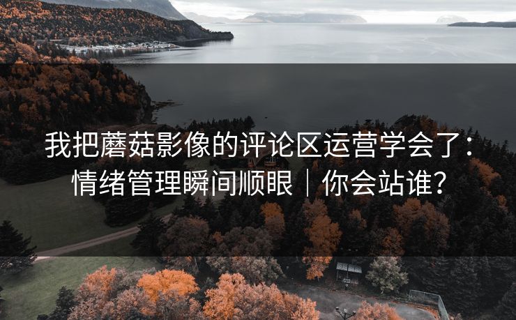 我把蘑菇影像的评论区运营学会了:情绪管理瞬间顺眼|你会站谁? 我把蘑菇影像的评论区运营学会了:情绪管理瞬间顺眼|你会站谁?