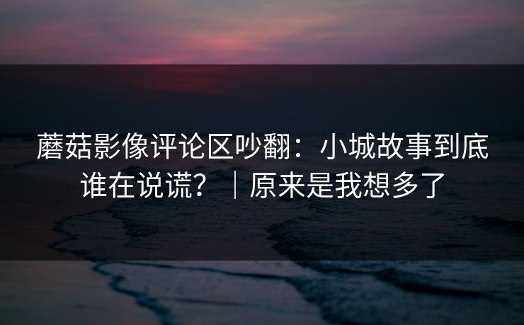 蘑菇影像评论区吵翻:小城故事到底谁在说谎?|原来是我想多了 蘑菇影像评论区吵翻:小城故事到底谁在说谎?|原来是我想多了